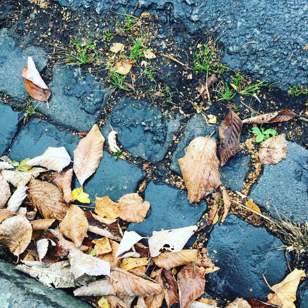 Soil is everywhere, but we're not treating it very well.